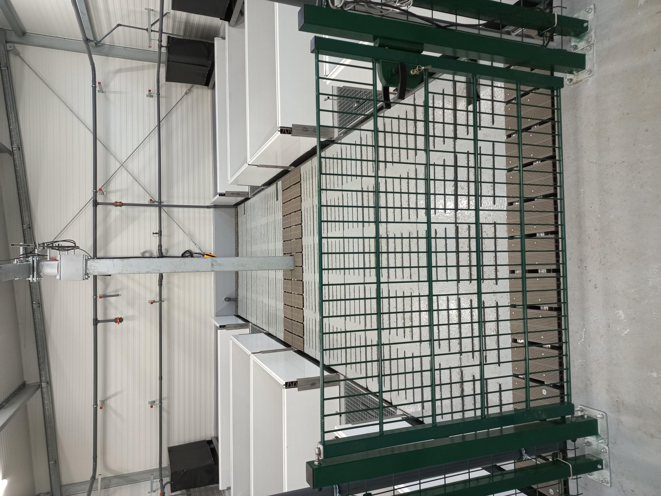 Fischbecken in der Fischhalle